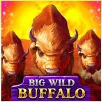 game logo by Belatra Games on sslotrave.com